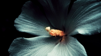 عنوان خبر 01